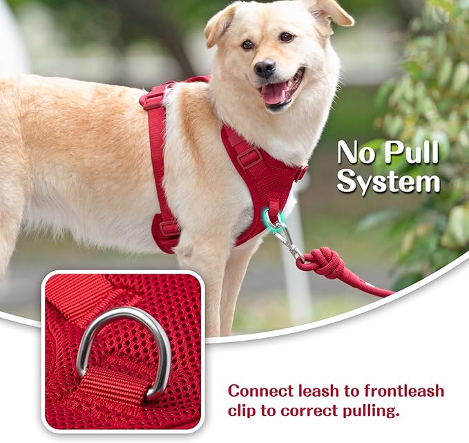 No Pull Dog Harness for Small Medium Large Dogs - Adjustable 2 Layer Mesh Dog Vest with Dual Clip, Escape Proof, Quick Release, Lightweight Breathable Mesh for Walking Hiking (Burgundy Red,XL)