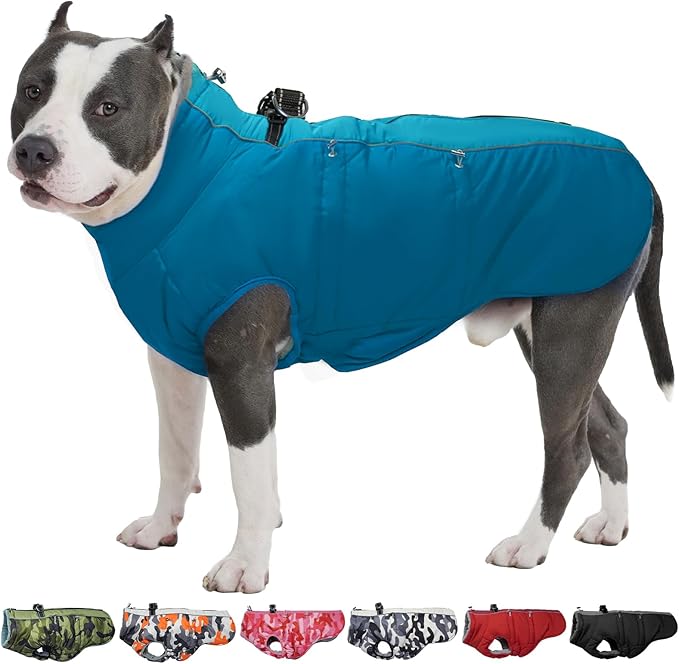 Medium Dog Winter Jacket - Warm Reflective Water-Resistant Snowsuit for Medium Dogs, Green