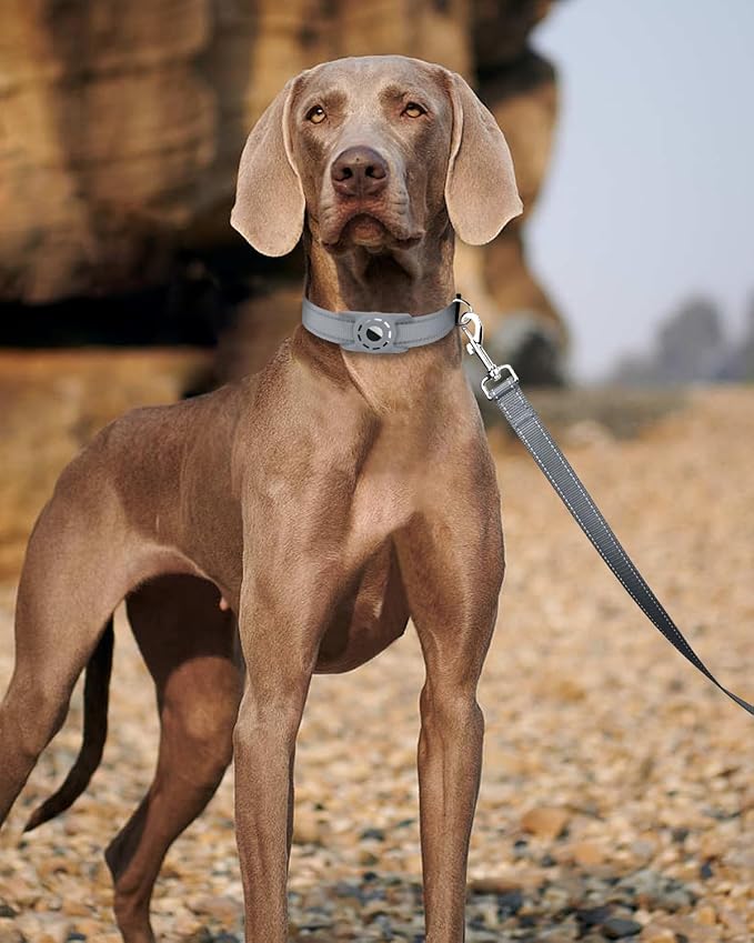 Erbine 6FT Reflective Nylon Dog Leash with Soft Padded Handle for Walking, Running and Training, Supports Small Medium and Large Dogs (Grey, 3/4Inch Wide)