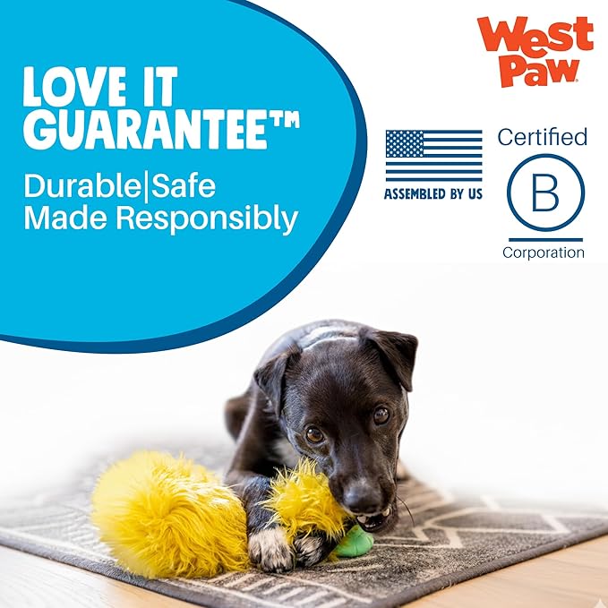 WEST PAW Rowdies Rolf Durable Plush Dog Toy with HardyTex Reinforced Seams Engaging Squeaker with Soft Cuddly Exterior Hand Sewn and Finished in Bozeman Montana for Dogs - Melon