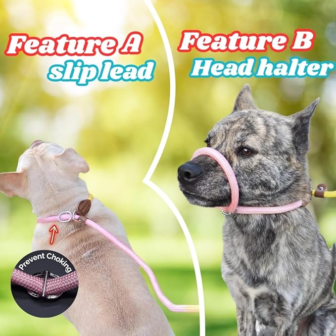 Slip Leads for Dogs, Dog Training Leash Heavy Duty No Pull Dog Leash Comfortable Strong Loop Rope Nylon for Large Medium Small Dogs Puppy… (Pink & Yellow, Large (5 Foot x 5/16") (26-45 lbs))