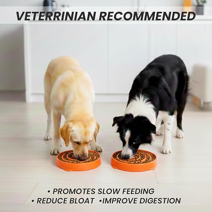 Slow Feeder Dog Bowl for Small and Large Dogs – Anti-Gulping Non-Slip Maze Bowl to Improve Digestion and Reduce Bloat (Oragne, Small)