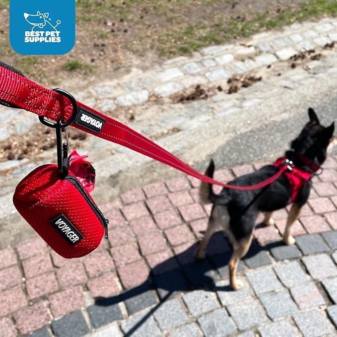 Best Pet Supplies 2-Pack Dog Poop Bag Holder Leash Attachment, Color, Reusable Mesh Dispenser Pouch for Travel, Walking, Park, and Outdoor Use, Soft and Durable with Clip-On - Mesh Orange