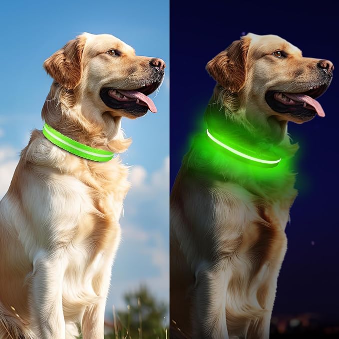 Jewyow Light Up Dog Collar, Adjustable USB Rechargeable Glow in Dark Dog Collar ，Waterproof Dog Collars for Small Dogs (Green, Small)