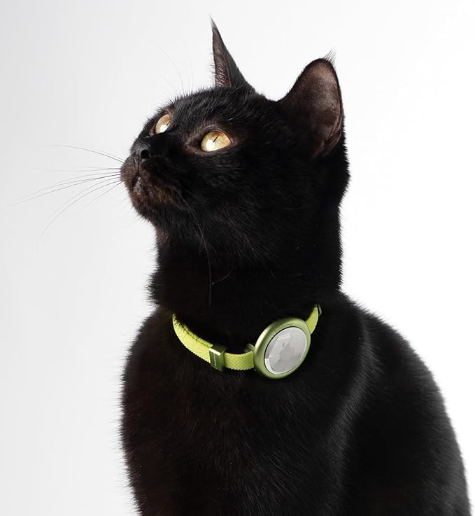 Safety Cat Collar Pro - U.S. IDA Gold Awarding Design, Elastic Quick Release Cat Collar with Buckle Non Breakaway - Lightweight for Kitten All Small Large Cats (Linen, S 5.9-11.8")