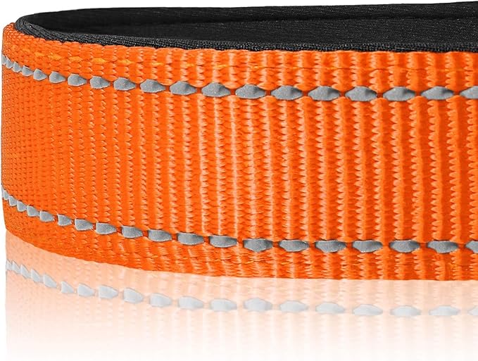Joytale Dog Collar,Soft Neoprene Padded Breathable Nylon Pet Collar Adjustable for Small Dogs,Orange,S