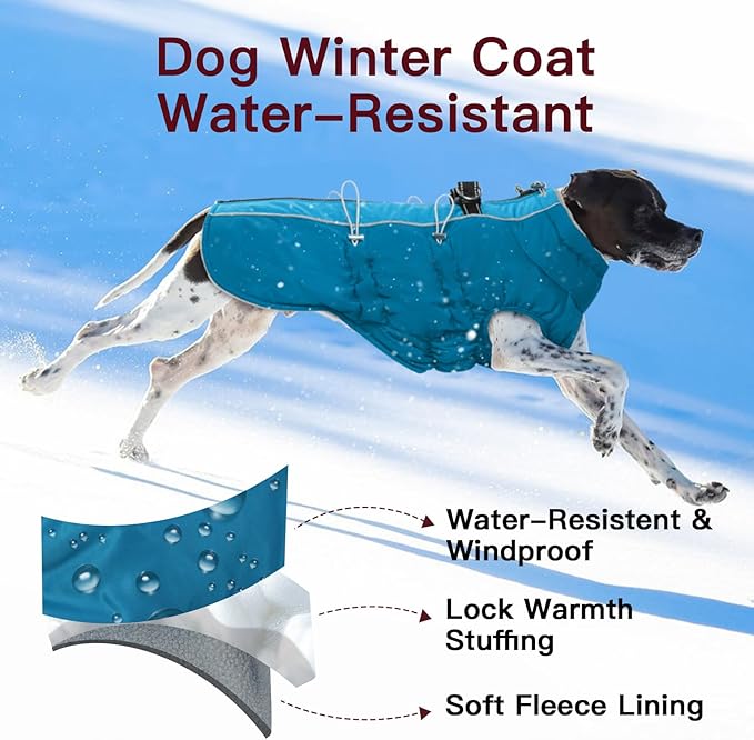 Dog Coat - Large Dogs Winter Jacket, Warm Zip Up Snowsuit, Reflective, Water-Resistant, Green