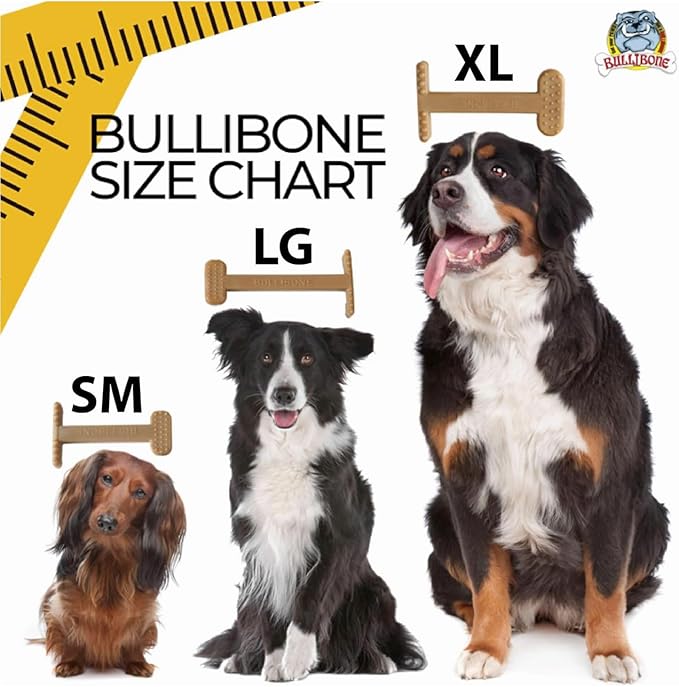Bullibone Nylon Dog Chew Toy for Aggressive Chewers - Dental Hygiene Bone with Beef Flavor, Durable Tough Chew Toys for Extra Large Dogs, Indestructible Dog Bone - 3 Pack