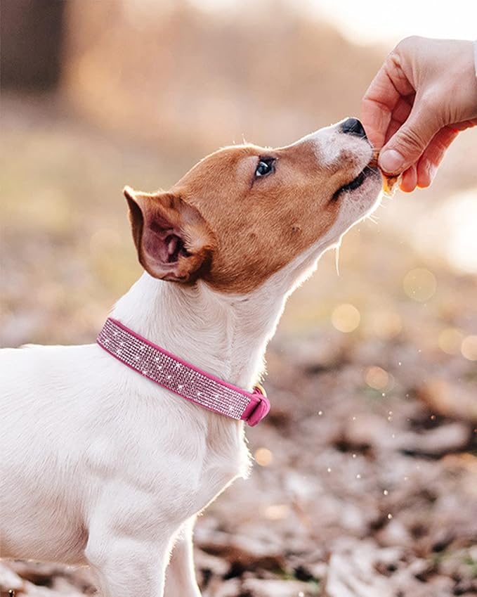 Dog Collar for Large Dogs, Adjustable Leather Suede Bling Dog Collars，Rose Red Dog Collar Cat Collar, Rhinestone Dog Collar
