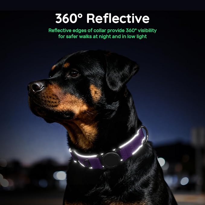 WhoseID Airtag Dog Collar | with Waterproof Air Tag Holder | QR Code Pet ID | Durable Comfortable Oxford Padded | Reflective Collar | for Small Puppy Dogs(Purple,S,10''~16'')