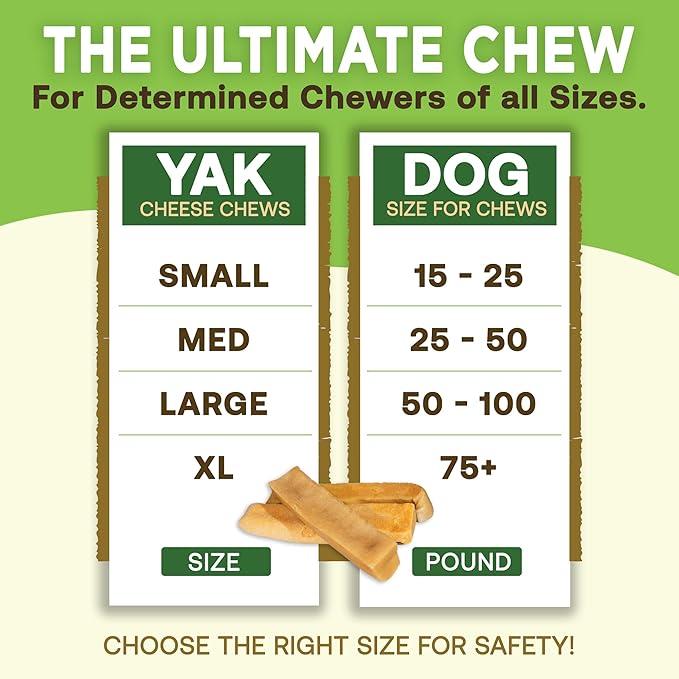 EcoKind Premium Gold Yak Cheese Himalayan Dog Chews, Dog Treats for Medium Dogs, All Natural, High Protein, for Aggressive Chewers, Medium - 3 Chews
