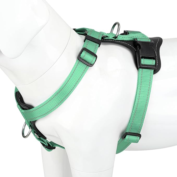 Plutus Pet Adjustable No Pull Dog Harness with Leather Accents, Heavy Duty Reflective Nylon Vest for Training, Hiking, Easy Walk Harness for Small, Medium, Large Dogs (Teal, XL)