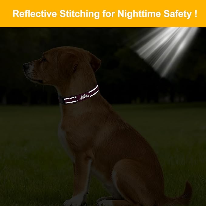CollarCraze Personalized Dog Collar with Name and Phone Number Reflective Soft Neoprene Padded Custom Dog Collar for Small Medium Large Boy Girl Dogs
