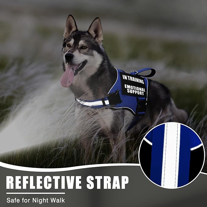 Service Dog Vest Harness+ID Tag+10 Patches,Metal Serivce Dog Tag&Reflective Emotional Support Dog Vest with Handle for Large Dogs,Easy Put On/Off for Training/Walking/Everyday Blue L