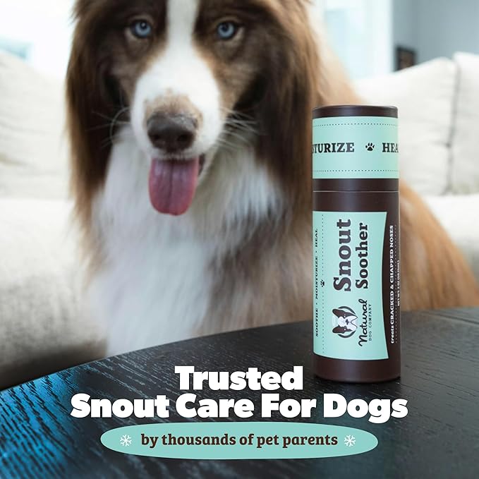 Natural Dog Company Snout Soother Travel Stick 4-Pack – 0.15 oz Chapstick-Size Sticks – Organic, Plant-Based, Lick-Safe Balm for Dry, Cracked, Crusty Noses – Value Bundle, Made in USA