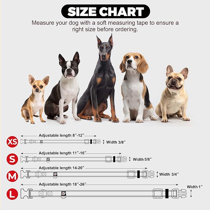azuza Reflective Dog Collar,Soft Neoprene Padded Pet Collar with ID Tag Ring,Adjustable for Medium Dogs,Purple,M