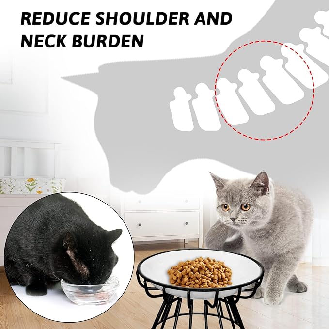 BNOSDM 2 Pcs Raised Cat Food Bowls, Shallow Ceramic Cat Dishes with Metal Stands Elevated Pet Feeder Dry/Wet Food for Indoor Kitten Kitty