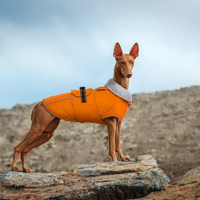 Lelepet Dog Coat Waterproof Dog Jacket Reflective Fleece Vest with Adjustable Buckle & Leash Hole Windproof Cold Weather Coats for Small Medium Large Dogs, Warm Hunting Vest, Orange, XL