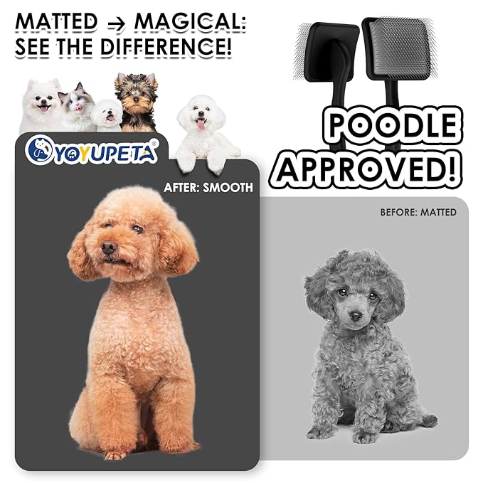 Large Long Pin Slicker Brush & Comb for Poodles, Goldendoodles & Cockapoos, Long Hair Dogs & Cats, Detangler Brush for Shedding & Matted Fur, Ergonomic Wooden Handle, Leather Sleeves. Black