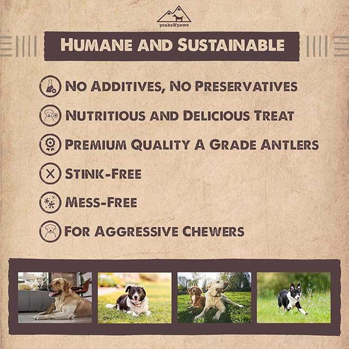 peaksNpaws Premium All-Natural Grade A Split Elk Antlers for Dogs – Naturally Shed in The Rocky Mountains – No Additives, No Preservatives - Healthy and Delicious Treat - Made in USA - M/L Split