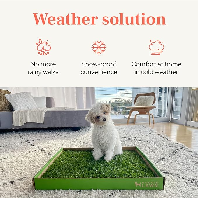 DoggieLawn Real Grass Puppy Pee Pads - Potty Training Pads for Dogs & Puppies - Indoor Grass Dog Potty for Apartments & Bad Weather - Natural Living Grass - XLarge 24 x 48 Inches - Made in USA