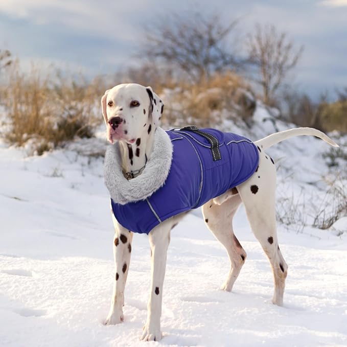 Lelepet Warm Dog Winter Coat Waterproof Dog Jacket with Adjustable Buckle & Leash Hole Reflective Pet Fleece Snowsuit Turtleneck Windproof Cold Weather Coats, Blue, XXXL