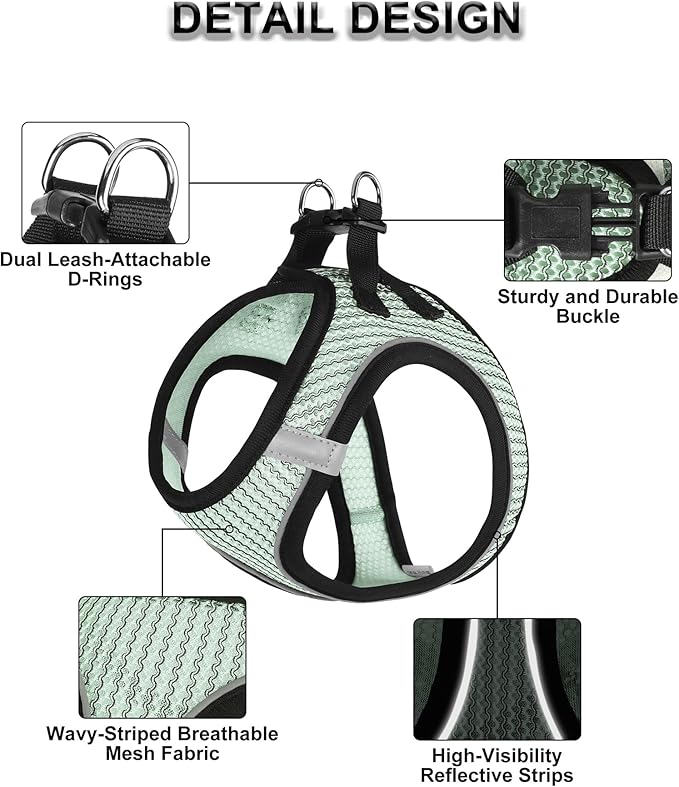 Dog Harness Small Sized and Leash Set, Step in Soft Light Puppy Vest, Breathable Mesh Pet Harness Suitable for Puppies and Kittens. (Light Green, XXS(Chest:10.24-11.81"))