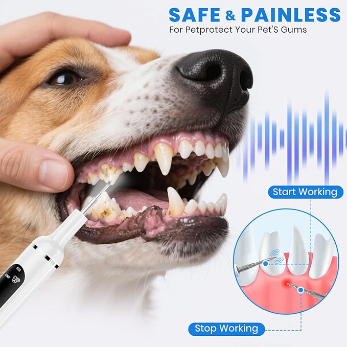 Dog Plaque Remover for Teeth,Pet Tooth Cleaner with LED Light,Cleaning Kit for Tartar and Stains,5 Adjustable Modes,Pet Teeth Cleaning kit,Suitable for Dogs and Cats (White)