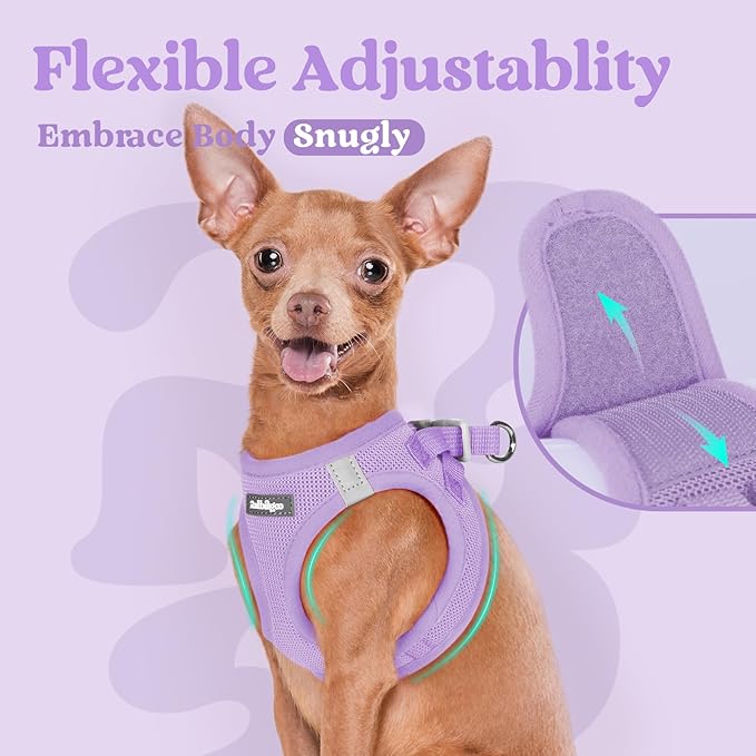 rabbitgoo Small Dog Harness, Step-in Soft Mesh Puppy Vest with Safety Buckle, Breathable Reflective Pet Harness for Small Sized Dogs, Light Purple M