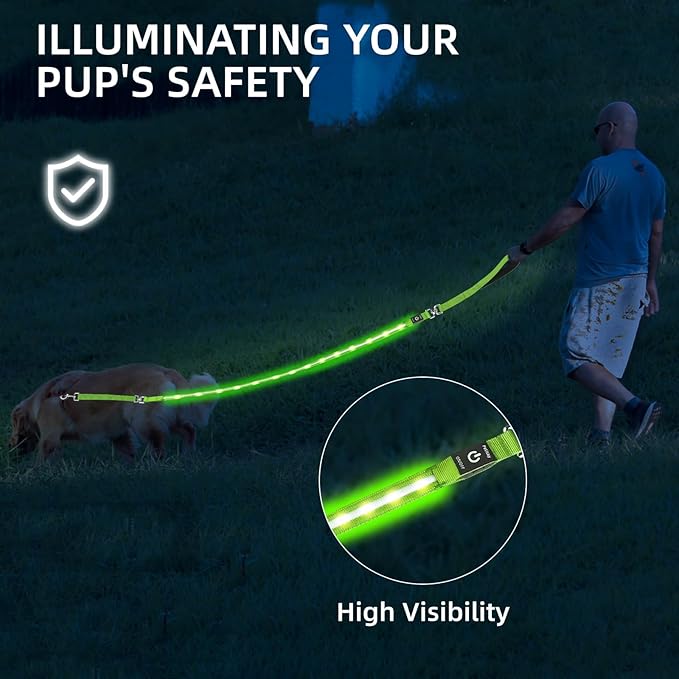 PetIsay Light up Dog Leash for Night Walking - USB C Rechargeable - Waterproof - Dog Leashes with Flashlight - LED Leash for Dogs - 6Ft, Pink