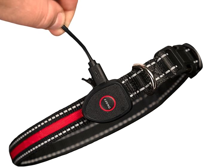 Sherry Kline LED Light-Up Pet Collar - USB Rechargeable - Flashing Glow in The Dark Size Large, Color: Red