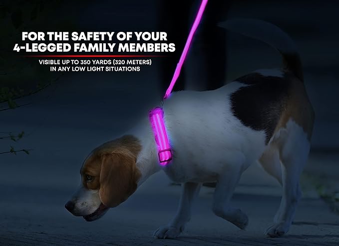 ILLUMISEEN LED Dog Collar USB Rechargeable - Bright & High Visibility Lighted Glow Collar for Pet Night Walking - Weatherproof, in 6 Colors & 6 Sizes (Pink X-Small)