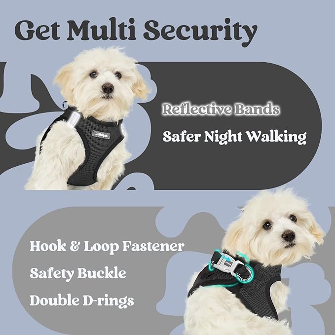 rabbitgoo Small Dog Harness, Step-in Soft Mesh Puppy Vest with Safety Buckle, Breathable Reflective Pet Harness for Small Sized Dogs, Black S