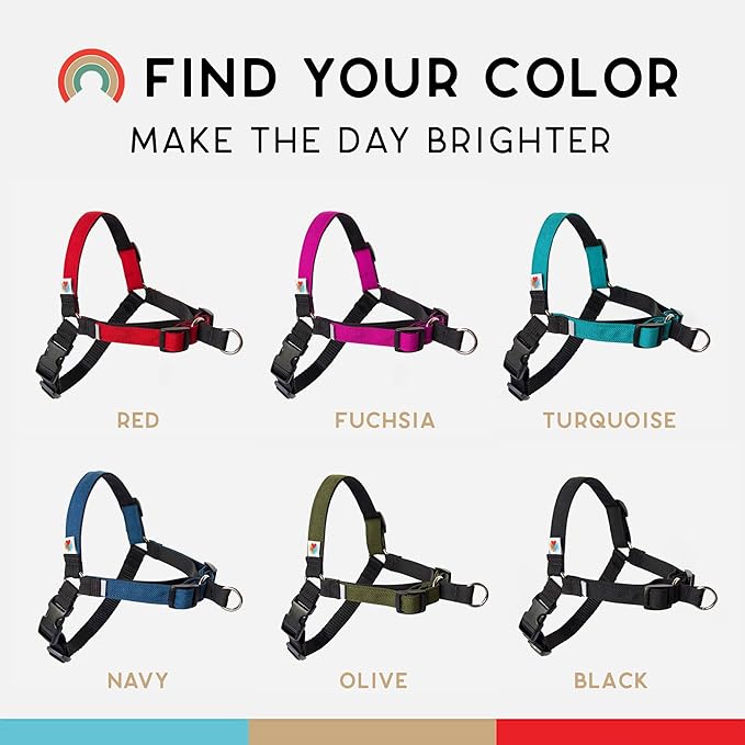 Wildebeest No Pull Dog Harness | Comfortable Training Harnesses | Effective No Pull Harness Design | Ideal for Large Sized Dog | 4-Point Adjustable (XL - 30~36 inch Girth, Black)