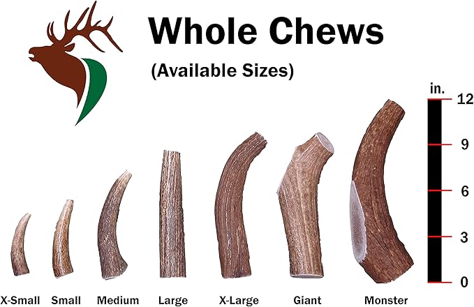 Medium Whole Twin Pack (for 20-45 lb Dogs and Puppies) Premium Grade Elk Antlers for Dogs (2 Pieces) Sourced in The USA