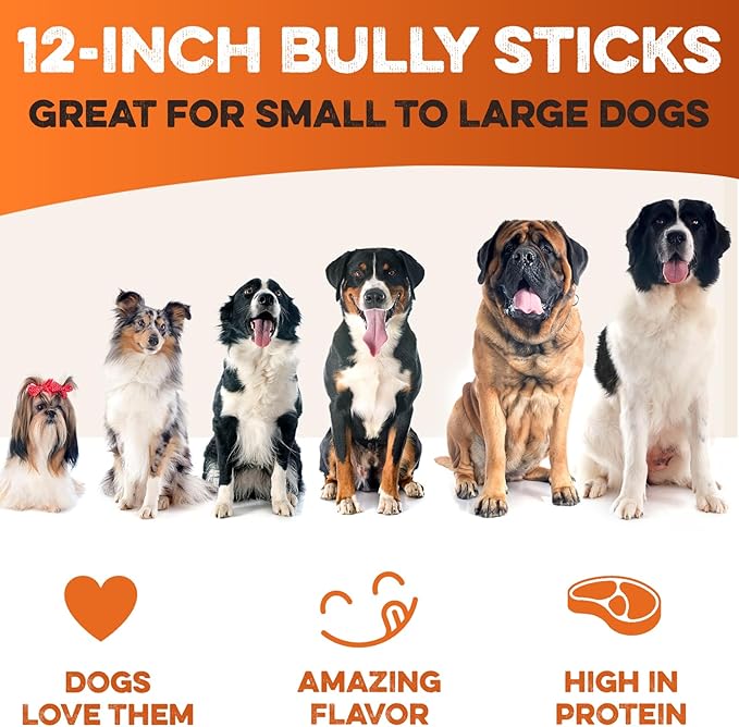 BRUTUS & BARNABY Bully Sticks for Dogs, 12" – Low-to-No Odor, Grass-Fed, Rawhide-Free Chews for Aggressive Power Chewers
