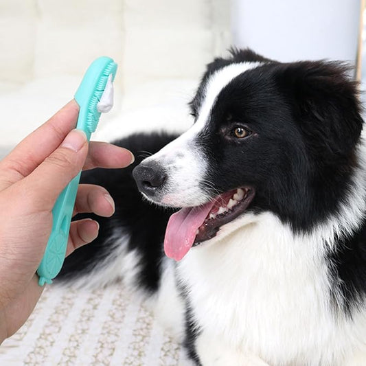 Puppy Tooth Brushing Kit - 0.43In Dog Toothpaste, Soft Silicone Finger Brush, Natural Beef Extract with Ergonomic Sleeve | orals Care Tool for Cats Puppies Dogs Kittens Supporting Effective Cleaning