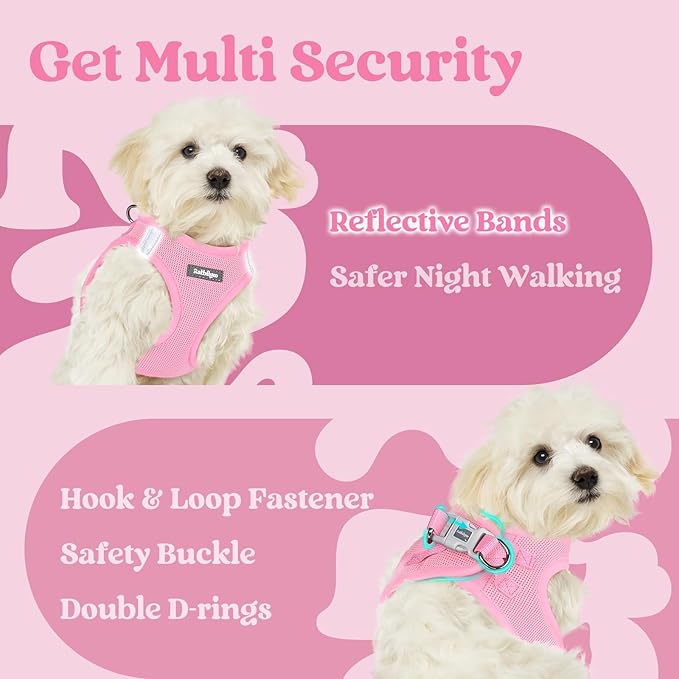 rabbitgoo Small Dog Harness, Step-in Soft Mesh Puppy Vest with Safety Buckle, Breathable Reflective Pet Harness for Small Sized Dogs, Light Pink XS