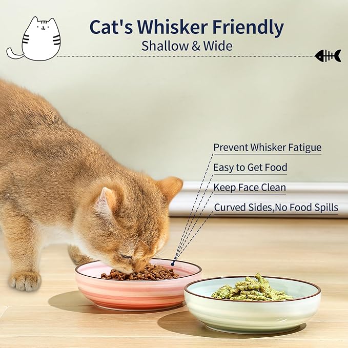 Selamica Ceramic Cat Food Bowl, 5.6 Inch Wide Shallow Cat Bowls/Dishes for Food and Water, Whisker Friendly, Set of 6, Gradient Colors