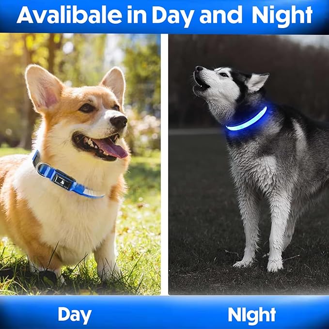 Light Up Dog Collar – Reflective, Adjustable & Rechargeable Electronic Glow Pet Collars – Bright, Comfortable, High Visibility LED Dog Collar for Night Safety, Outdoor Walk & Flashing Fun, Blue, Large