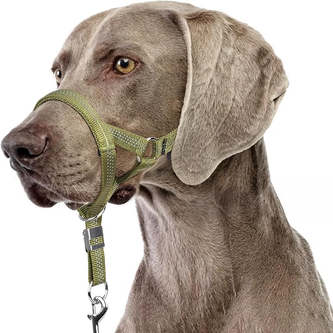 BARKLESS Sturdy No Pull Head Collar for Medium Large Dogs, Gentle Reflective Head Halter with Safety Link, Adjustable Nylon Dog Training Muzzle Leash for Walking Control (Green, XXL)