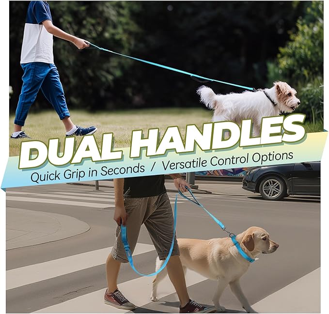VIVAGLORY Twingrip Dog Leash, Double Handle Dog Leash for Training & Walking with Traffic Handle & 2 Loop, Traffic Control Reflective Heavy Duty for Puppy Pet, 4ft x 1/2in, Lake Blue