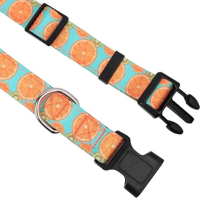 Reflective Dog Collar, Adjustable Soft Neoprene Padded Nylon Pet Collars with Buckle for Puppy and Small Dogs, Cats, Summer Lemon,L