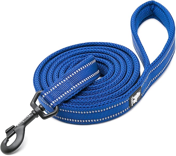 TRUE LOVE Reflective Dog Leash Puppy Walking Lead, Padded Pet Chain Rope，Length 200cm Truelove TLL2111(Royal Blue,L)