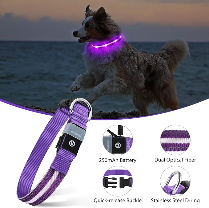 MASBRILL Led Dog Collar - Rechargeable, Water-Resistant, Flashing Glowing Collar for Night Walking - S(15.75 * 0.98in)
