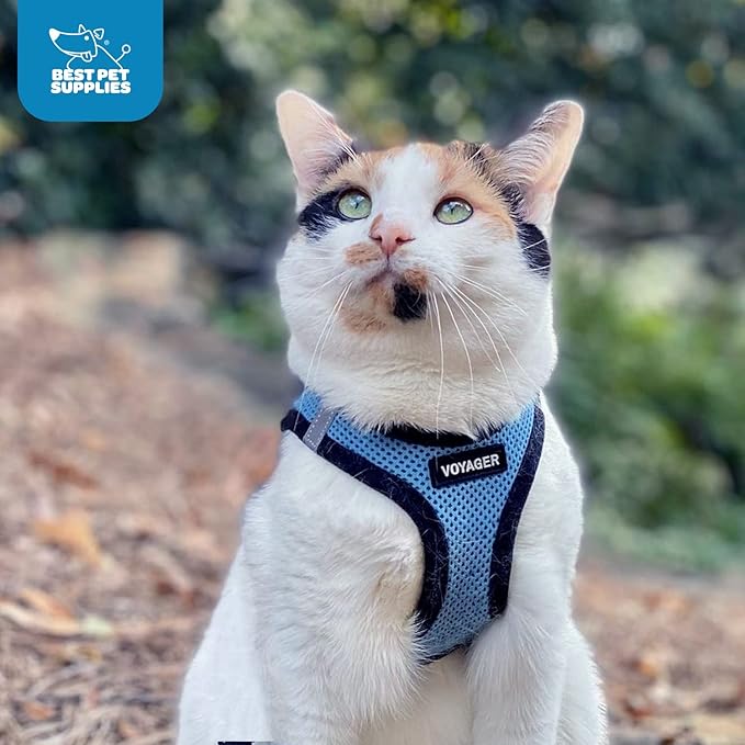 Best Pet Supplies Voyager Step-in Air Harness - All Weather Mesh, Reflective, No Pull Harness for Dogs, Cats - Secure with Hook & Loop Fastener, Buckle, Double D-Rings - Baby Blue/Black Trim, XXXS