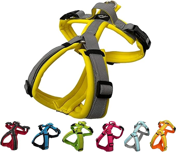 [白山:Hakusan] Zero Dog Harness Basic Type, Safe - No chocking/Hard to Disconnect, Great fit - Easy Put on and Off/Adjustable, Reflector, XS - Small & Medium Dog, Two-Tone Yellow x Gray