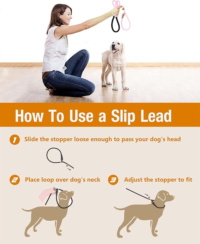 lynxking 5 FT Dog Leash Slip Lead 2 Pack Strong Heavy Duty Braided Dog Training Leash No Pull Training Lead Leashes for Medium Large and Small Dogs