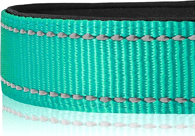Joytale Reflective Dog Collar, Soft Neoprene Padded, Metal D-Ring, Nylon Pet Collar Adjustable for Small Dogs, Teal, S