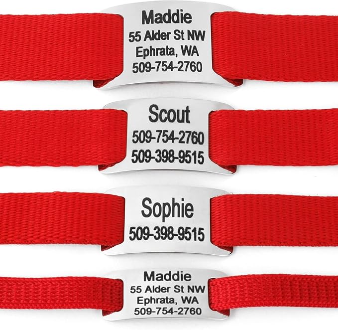 GoTags Slide-On Pet ID Tags, Curved Personalized Dog and Cat, Silent, No Noise Stainless Steel, Custom Engraved in 4 Sizes for Large and Small Pets, Purple